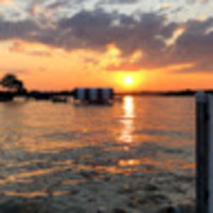 Meet your Posher, Sonja